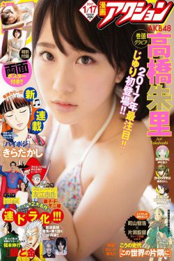 完美伴侣