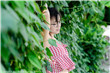 玩命快递3