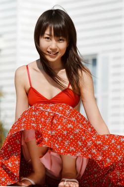 满天星啄木鸟三部曲高压教育